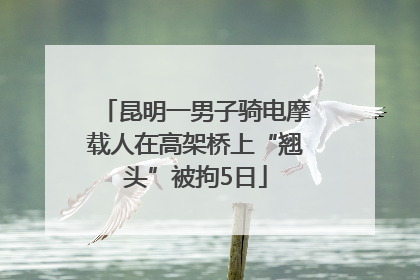 昆明一男子骑电摩载人在高架桥上“翘头”被拘5日