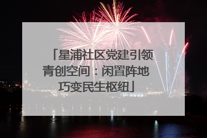 星浦社区党建引领青创空间：闲置阵地巧变民生枢纽