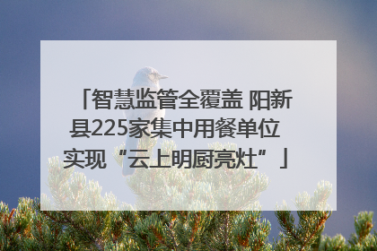 智慧监管全覆盖 阳新县225家集中用餐单位实现“云上明厨亮灶”