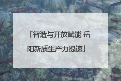 智造与开放赋能 岳阳新质生产力提速