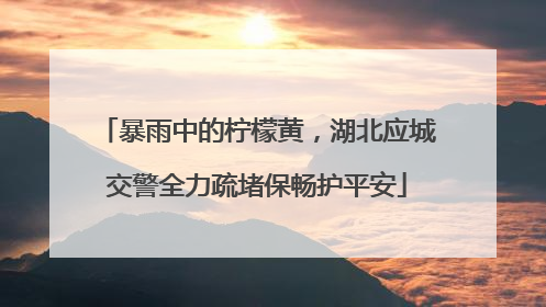 暴雨中的柠檬黄，湖北应城交警全力疏堵保畅护平安