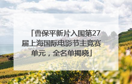 曹保平新片入围第27届上海国际电影节主竞赛单元，全名单揭晓