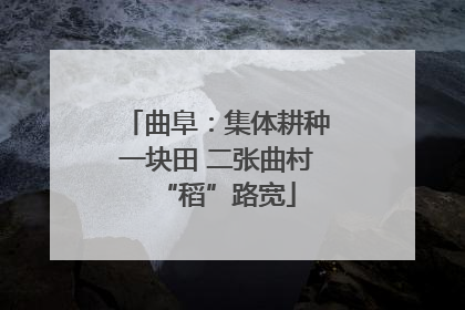 曲阜：集体耕种一块田 二张曲村“稻”路宽