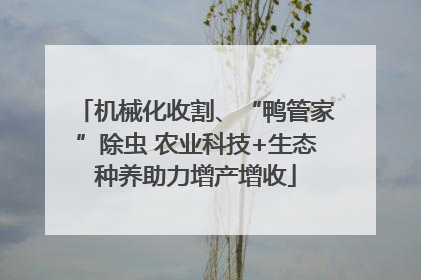 机械化收割、“鸭管家”除虫 农业科技+生态种养助力增产增收