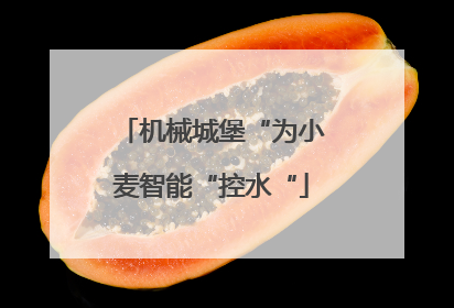 机械城堡“为小麦智能“控水“