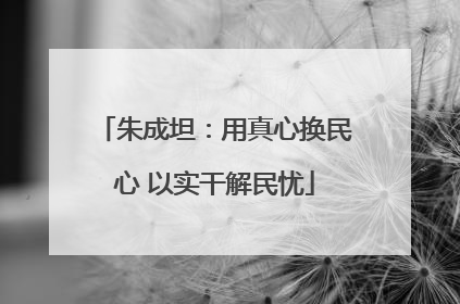 朱成坦：用真心换民心 以实干解民忧