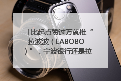 比起点赞过万就推“拉波波（LABOBO）”，宁波银行还是拉业绩吧｜财经辣评