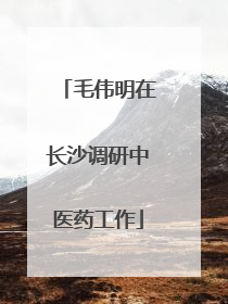 毛伟明在长沙调研中医药工作
