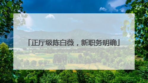 正厅级陈白薇，新职务明确