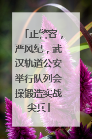 正警容，严风纪，武汉轨道公安举行队列会操锻造实战尖兵