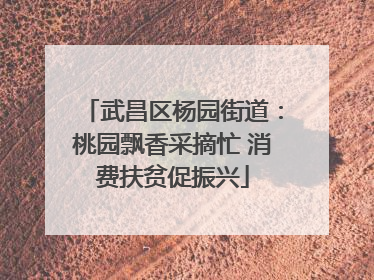 武昌区杨园街道：桃园飘香采摘忙 消费扶贫促振兴