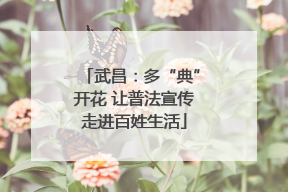 武昌：多“典”开花 让普法宣传走进百姓生活