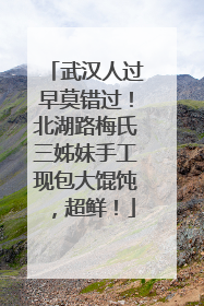 武汉人过早莫错过！北湖路梅氏三姊妹手工现包大馄饨，超鲜！