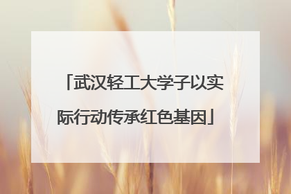 武汉轻工大学子以实际行动传承红色基因
