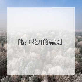 栀子花开的清晨