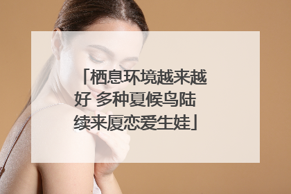 栖息环境越来越好 多种夏候鸟陆续来厦恋爱生娃