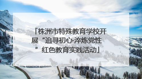 株洲市特殊教育学校开展“追寻初心·淬炼党性”红色教育实践活动