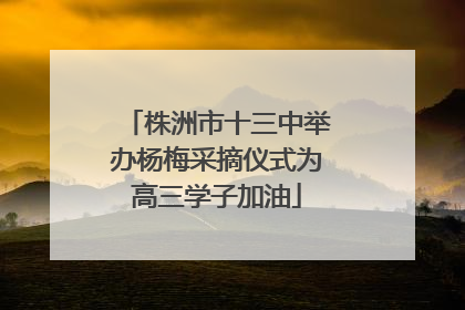 株洲市十三中举办杨梅采摘仪式为高三学子加油