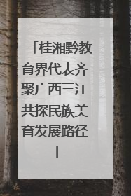桂湘黔教育界代表齐聚广西三江共探民族美育发展路径