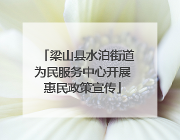 梁山县水泊街道为民服务中心开展惠民政策宣传