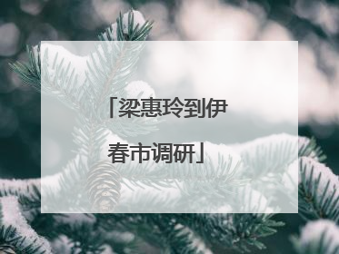 梁惠玲到伊春市调研