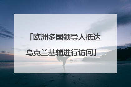 欧洲多国领导人抵达乌克兰基辅进行访问