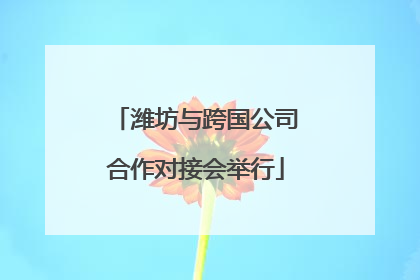 潍坊与跨国公司合作对接会举行