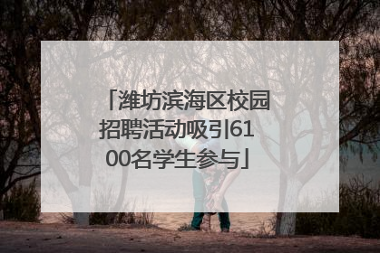 潍坊滨海区校园招聘活动吸引6100名学生参与