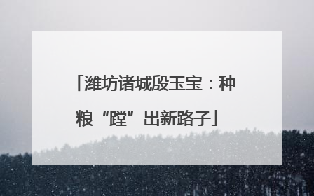 潍坊诸城殷玉宝：种粮“蹚”出新路子
