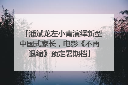 潘斌龙左小青演绎新型中国式家长，电影《不再退缩》预定暑期档