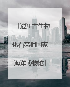 澄江古生物化石亮相国家海洋博物馆