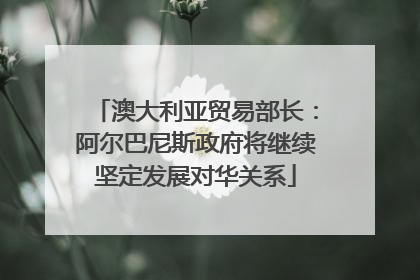 澳大利亚贸易部长：阿尔巴尼斯政府将继续坚定发展对华关系