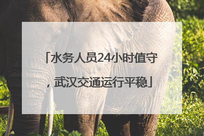 水务人员24小时值守，武汉交通运行平稳