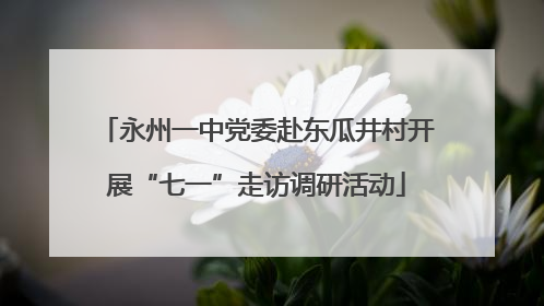 永州一中党委赴东瓜井村开展“七一”走访调研活动