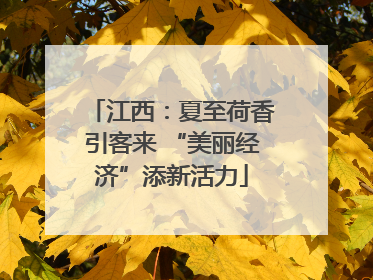 江西：夏至荷香引客来 “美丽经济”添新活力