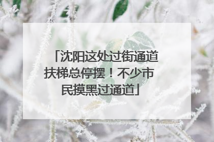 沈阳这处过街通道扶梯总停摆！不少市民摸黑过通道