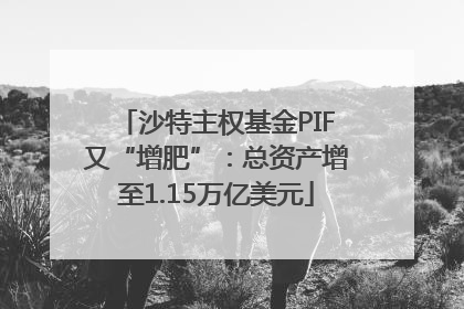 沙特主权基金PIF又“增肥”：总资产增至1.15万亿美元