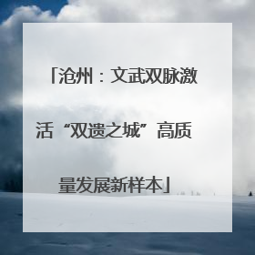 沧州：文武双脉激活“双遗之城”高质量发展新样本