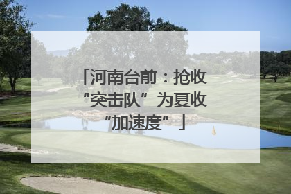 河南台前：抢收“突击队”为夏收“加速度”