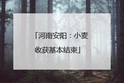河南安阳：小麦收获基本结束
