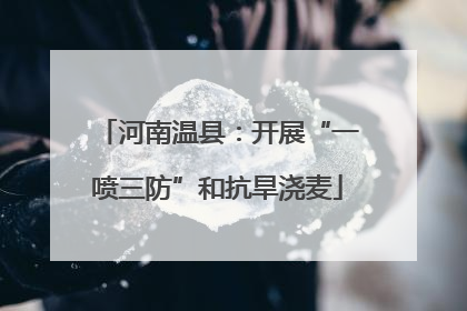 河南温县：开展“一喷三防”和抗旱浇麦