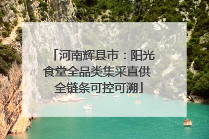 河南辉县市：阳光食堂全品类集采直供 全链条可控可溯