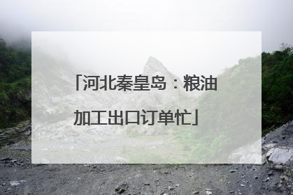 河北秦皇岛：粮油加工出口订单忙