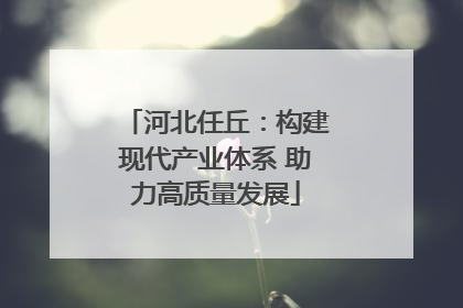 河北任丘：构建现代产业体系 助力高质量发展