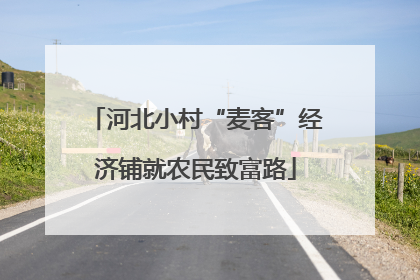 河北小村“麦客”经济铺就农民致富路