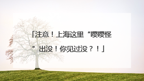注意！上海这里“嘤嘤怪”出没！你见过没？！