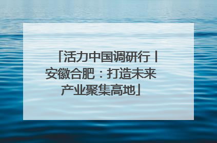 活力中国调研行丨安徽合肥：打造未来产业聚集高地