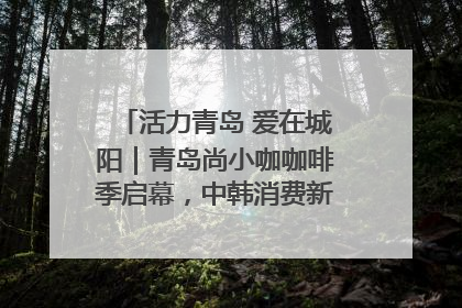 活力青岛 爱在城阳｜青岛尚小咖咖啡季启幕，中韩消费新场景点燃夏日热情