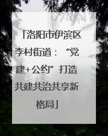 洛阳市伊滨区李村街道：“党建+公约”打造共建共治共享新格局