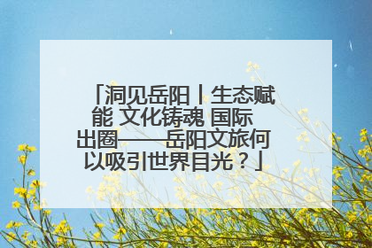 洞见岳阳丨生态赋能 文化铸魂 国际出圈——岳阳文旅何以吸引世界目光？